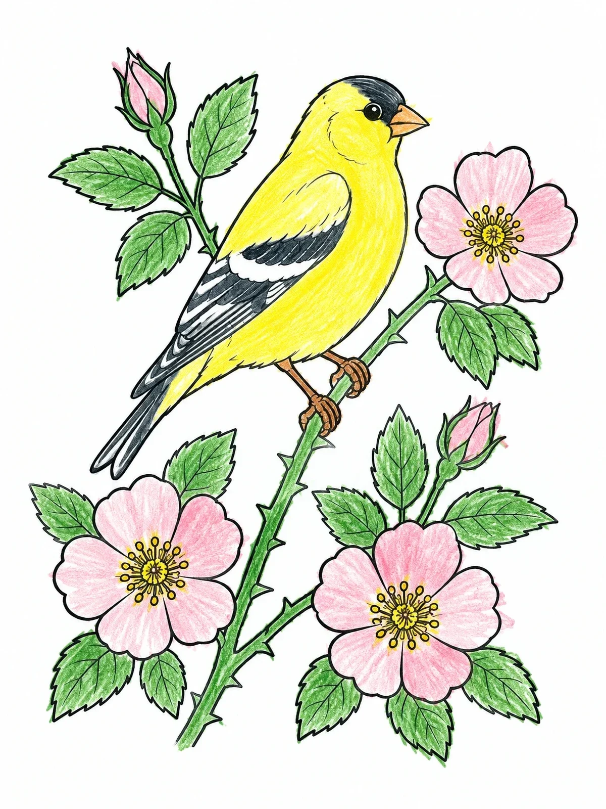 Colored example of the Eastern Goldfinch With Prairie Rose coloring page