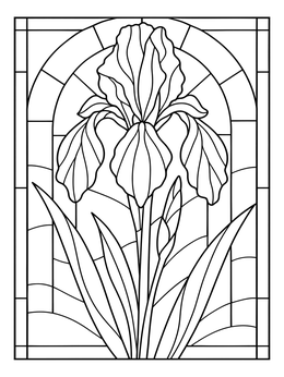 An iris flower blooms in this stained glass coloring page with an arched pane background.