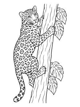 A spotted wildcat in this jaguar coloring page climbs up a tree trunk with sharp claws.