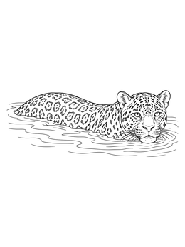 A detailed jaguar coloring page showing the big cat swimming through gentle river ripples.