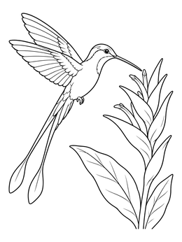 Free printable Doctor Bird And Tropical Bloom coloring page