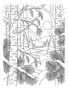 Snowy birch and pine trees in a tranquil january coloring page.