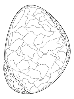 A smooth opal stone display in this jewels coloring page.