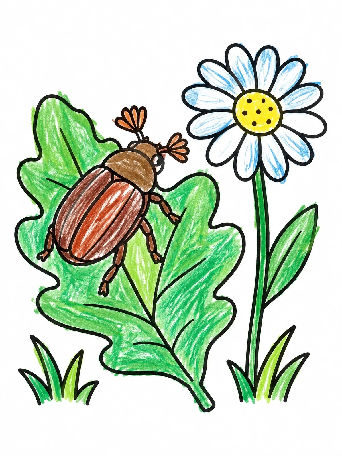 Colored example of the June Beetle On Oak Leaf coloring page