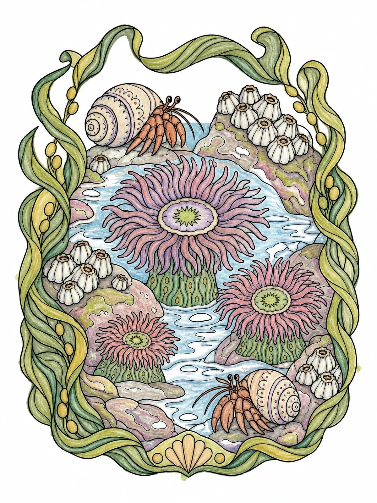 Colored example of the Tide Pool With Anemones And Hermit Crabs coloring page