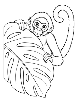 A curious spider monkey peeks from behind a large leaf in this jungle coloring page.