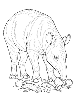 Jungle coloring page featuring a detailed tapir inspecting fruits and roots on the ground.