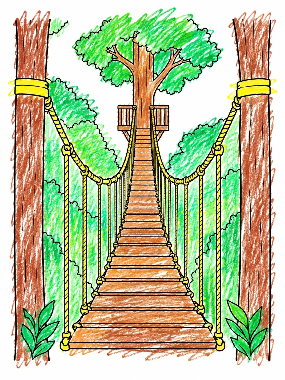 Colored example of the Kakum Canopy Walkway Bridge coloring page