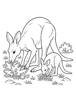 A detailed kangaroo coloring page showing a mother kangaroo and her joey grazing together outdoors.