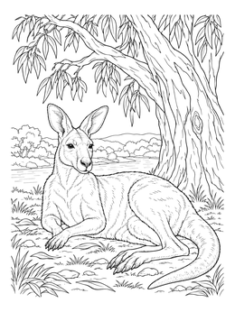 A peaceful kangaroo coloring page resting in the shade of a eucalyptus tree by a river.