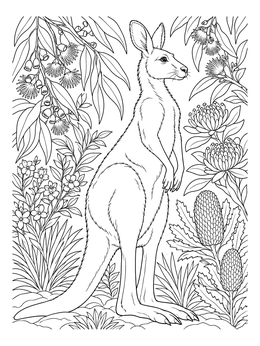 Detailed kangaroo coloring page featuring an alert kangaroo surrounded by native Australian plants and blossoms.