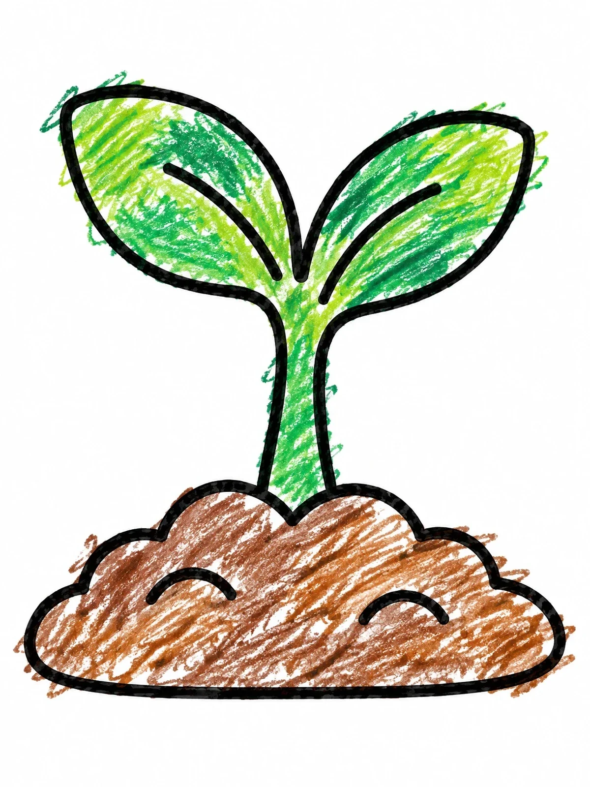 Colored example of the Sprouting Seedling In Garden Soil coloring page