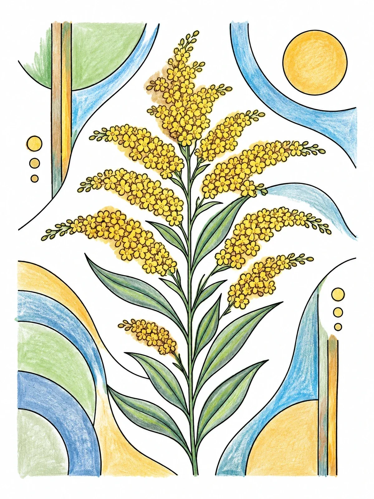 Colored example of the Kentucky Goldenrod Botanical Art coloring page