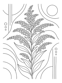 Detailed goldenrod bloom depicted on this kentucky coloring page with decorative patterns.