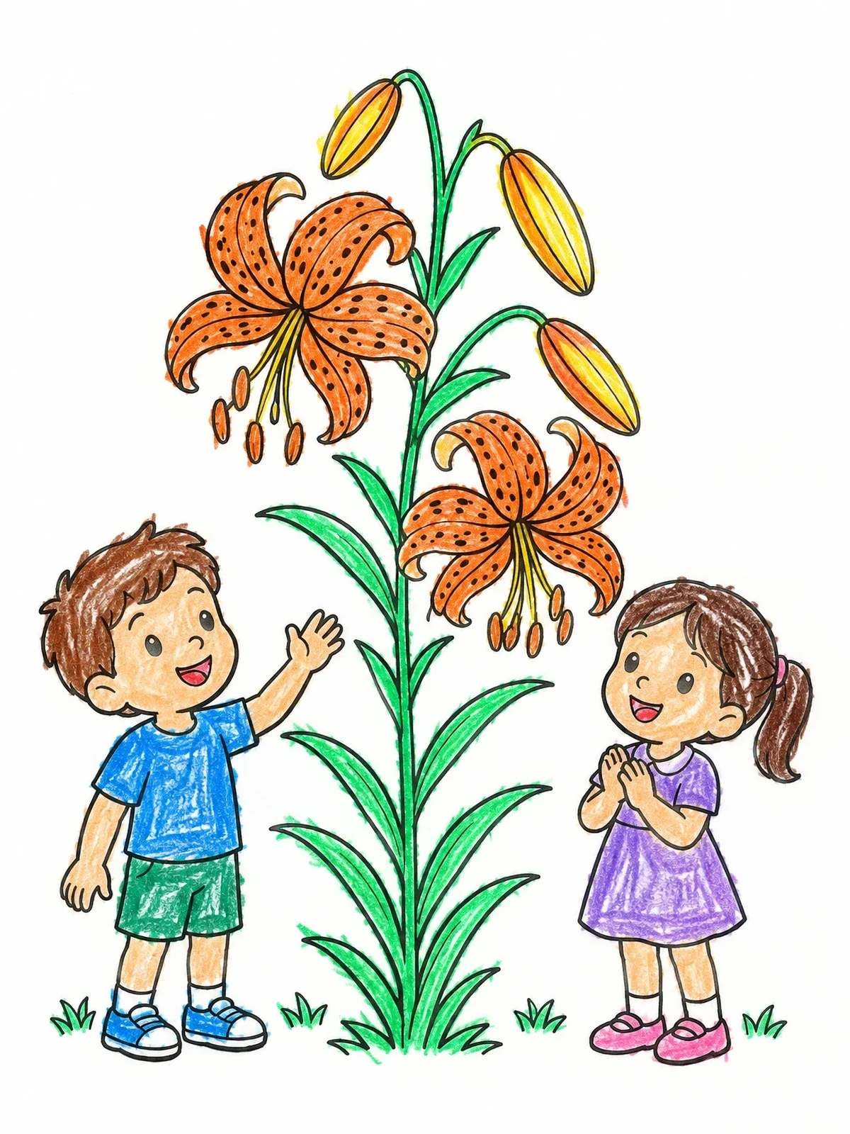 Colored example of the Kids Admiring A Tall Tiger Lily coloring page