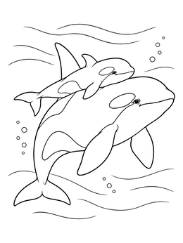 An orca mother swimming alongside her small calf in this killer whale coloring page.