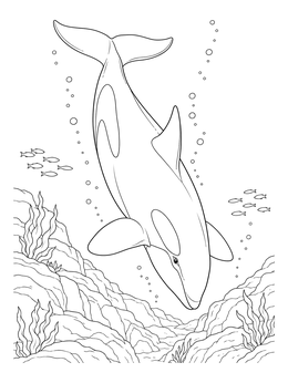 A killer whale coloring page showing an orca diving deep toward the ocean floor with bubbles and fish.