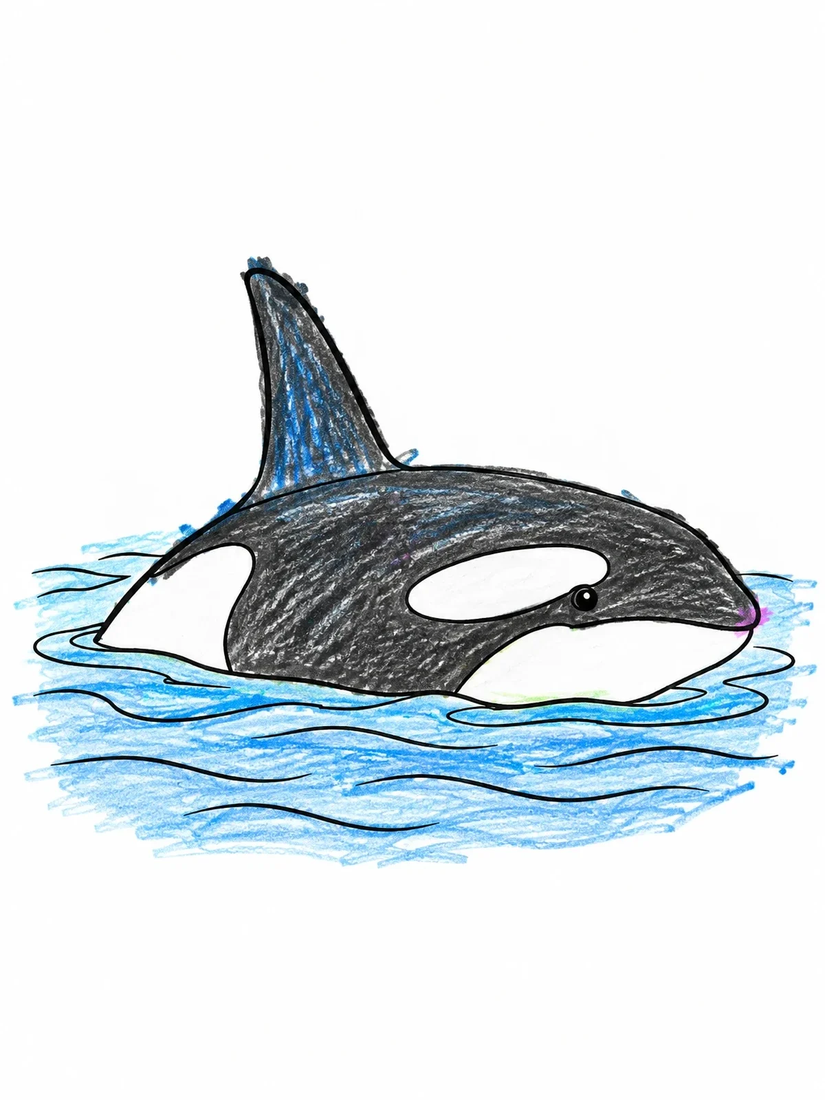 Colored example of the Orca Surfacing In Gentle Ocean Waves coloring page