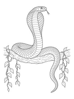 A detailed king cobra coloring page showing the snake coiled on a leafy tree branch with flared hood.