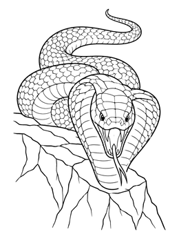 Detailed king cobra coloring page showing a coiled serpent with an open hood on a cliff edge.