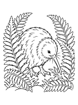 Free printable Kiwi Bird Among Fern Fronds coloring page