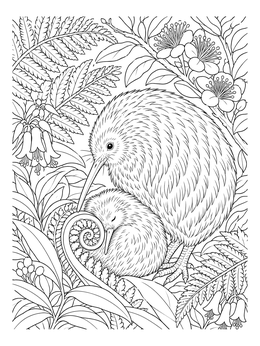 Free printable Kiwi Bird With Sleeping Chick coloring page