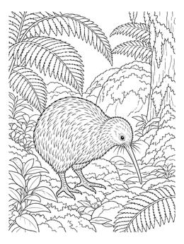 Free printable Kiwi In A New Zealand Rainforest coloring page