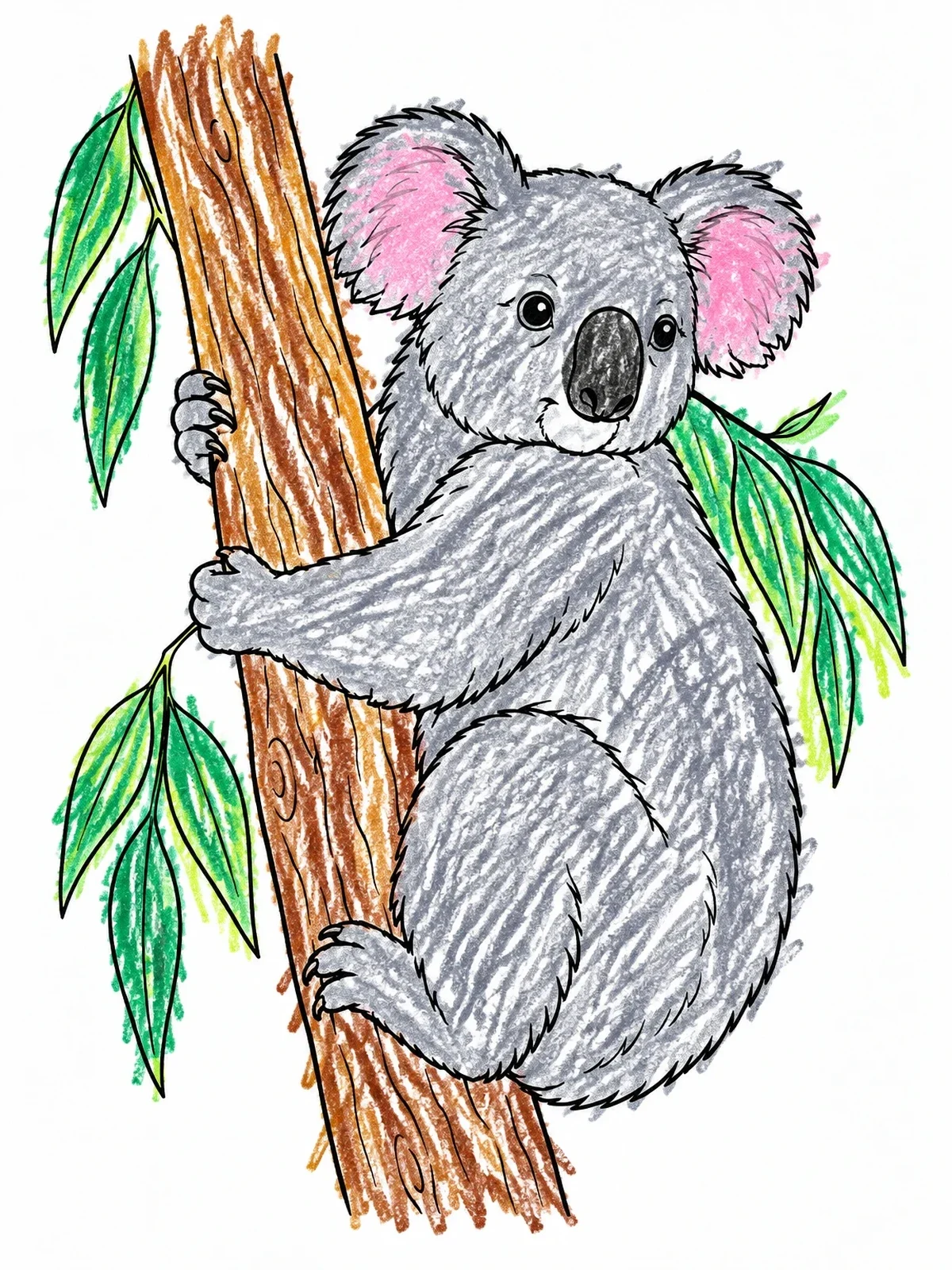 Colored example of the Koala Climbing A Eucalyptus Tree coloring page
