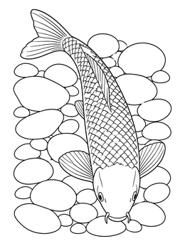 Detailed koi fish coloring page swimming downwards over smooth river stones.