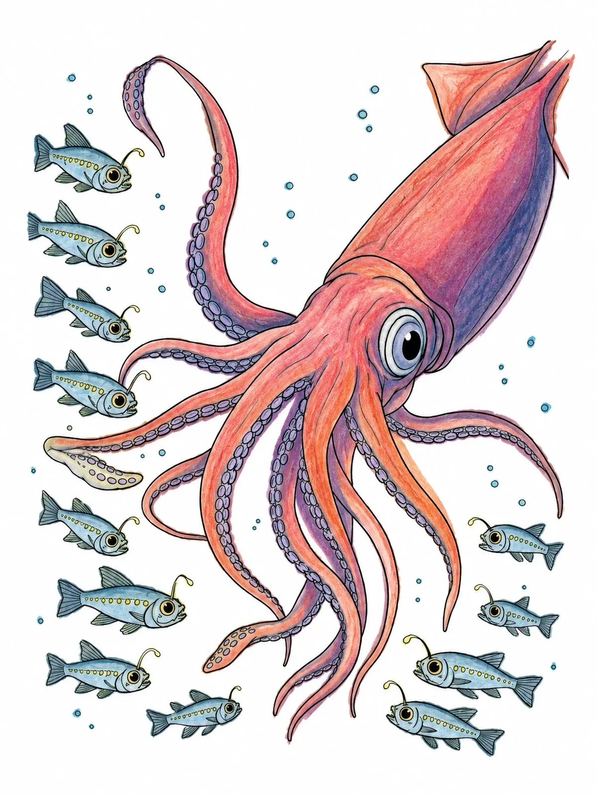 Colored example of the Giant Squid And Lanternfish In Deep Sea coloring page