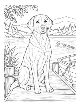A realistic labrador retriever coloring page sitting on a wooden dock by a calm lake with ducks.