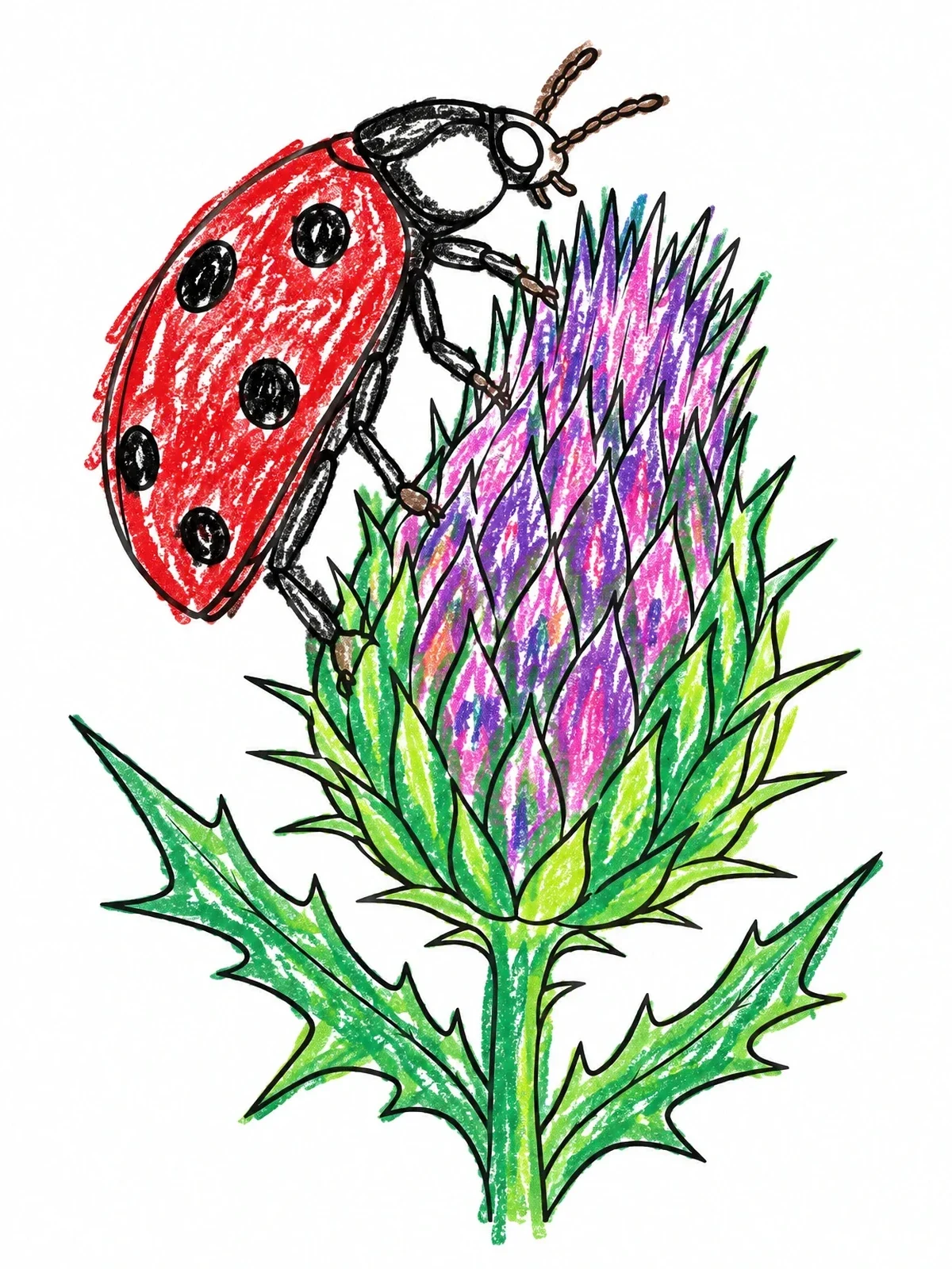 Colored example of the Ladybug On Thistle Flower coloring page