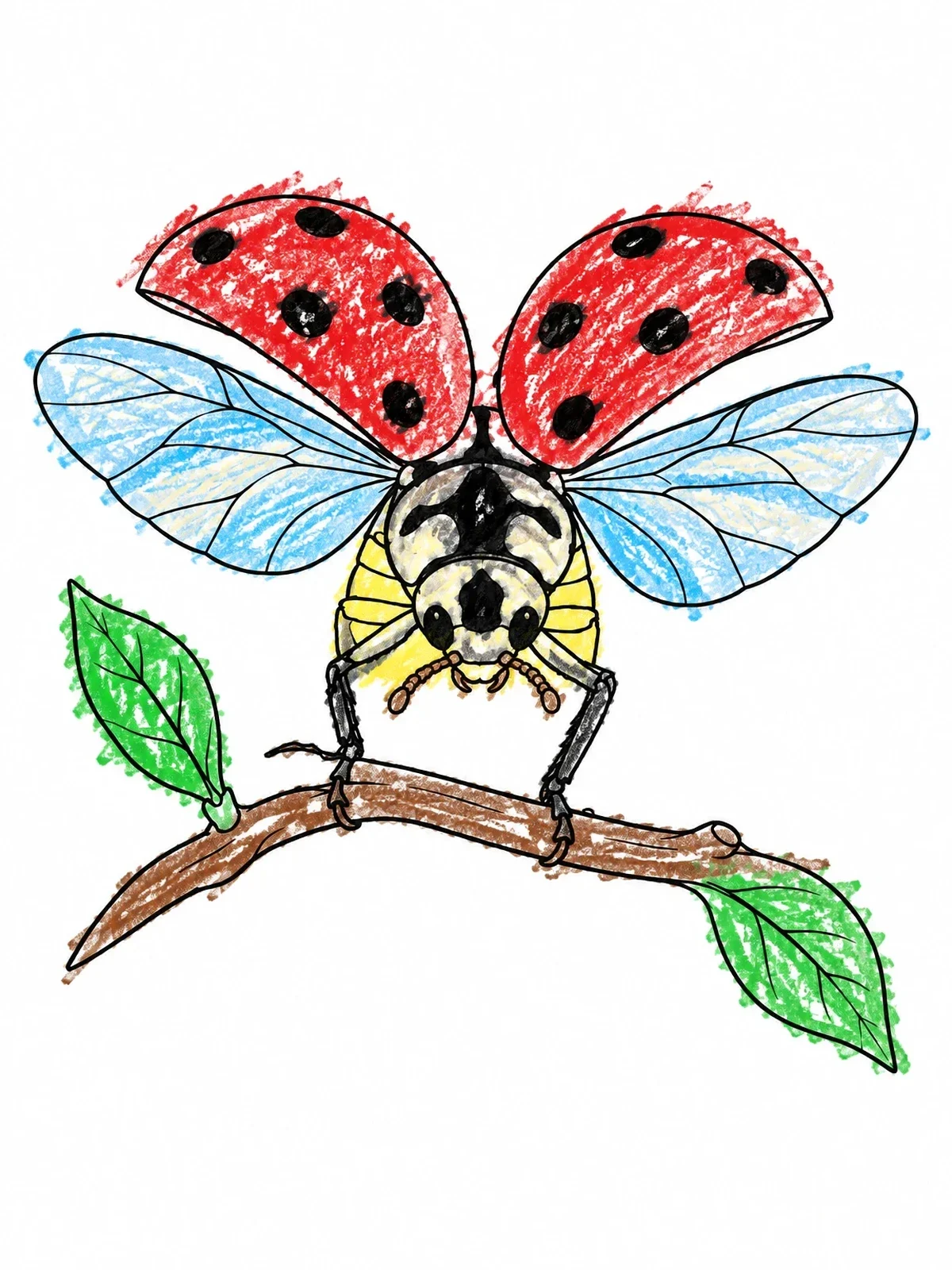 Colored example of the Ladybug Spreading Wings On Twig coloring page