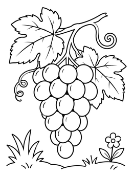 Free printable Grapevine With Fresh Grapes coloring page