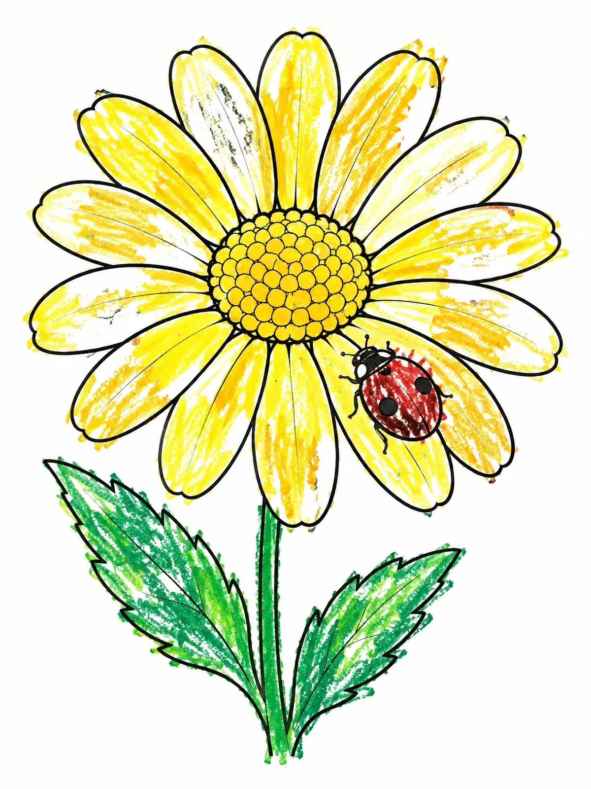 Colored example of the Ladybug On A Blooming Daisy coloring page