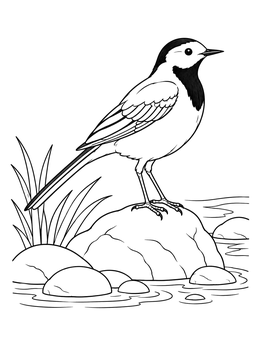 Free printable Latvian White Wagtail On River Stone coloring page