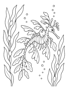 A leafy sea dragon coloring page featuring tall kelp plants and rising bubbles.