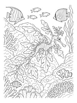 A leafy sea dragon coloring page among coral reefs and tropical fish.
