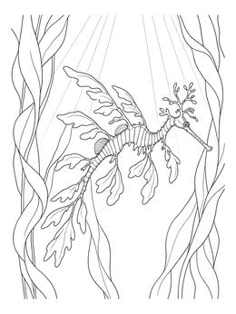 A leafy sea dragon coloring page framed by ocean kelp and light rays.