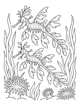 A leafy sea dragon coloring page featuring two creatures swimming above sea anemones.