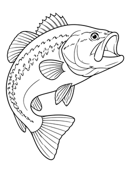 A detailed bass coloring page featuring a curved largemouth bass with its mouth wide open.