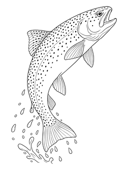 A detailed trout coloring page showing a speckled fish leaping above water droplets.