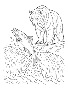 A detailed salmon coloring page featuring a fish leaping up a waterfall near a brown bear.