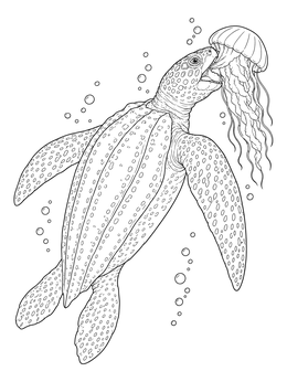 A detailed leatherback sea turtle coloring page showing the reptile eating a jellyfish amid underwater bubbles.