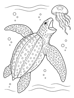 Free printable Leatherback Turtle Hunting A Jellyfish coloring page
