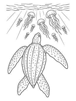 Free printable Leatherback Turtle Swimming Toward Jellyfish coloring page