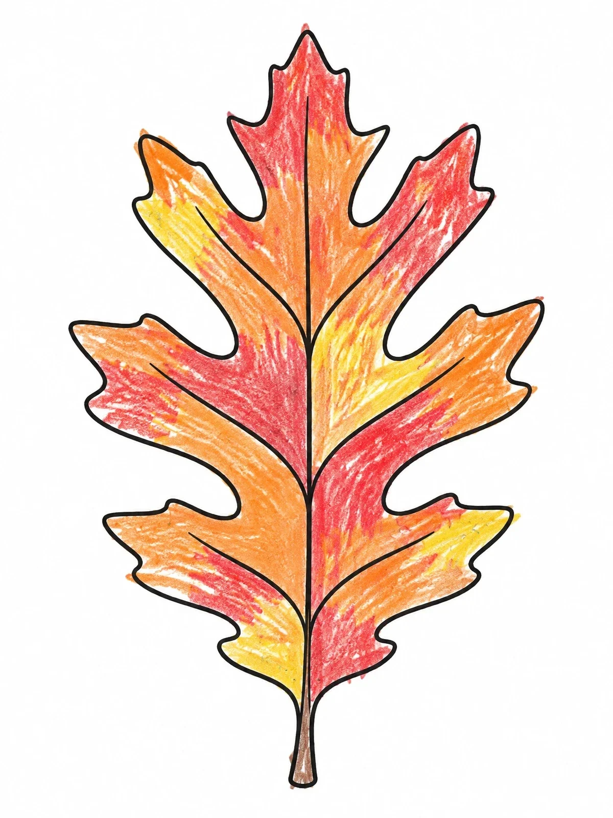 Colored example of the Single Detailed Red Oak Leaf coloring page