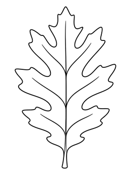 A simple oak leaves coloring page showing a single leaf with clear veins.