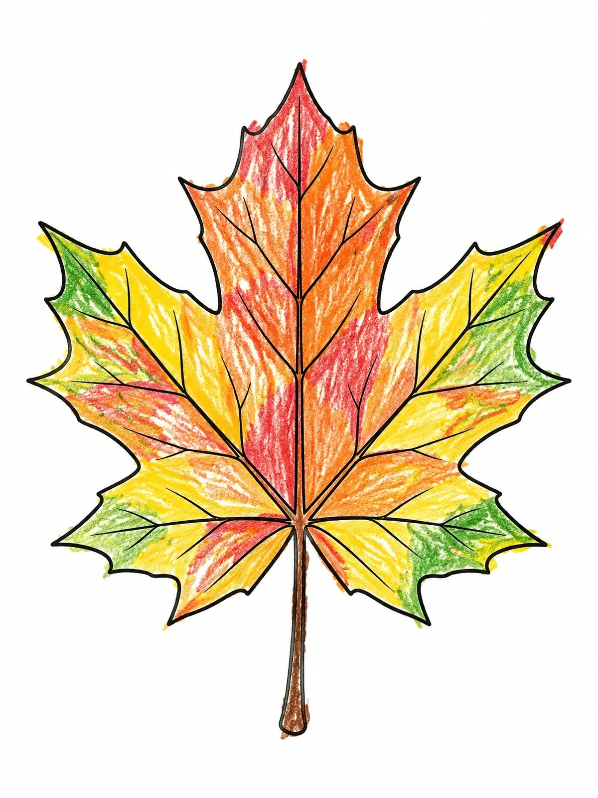 Colored example of the Detailed Sugar Maple Leaf coloring page