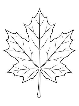 A detailed maple leaf in this clean tree leaves coloring page with clear branching veins.
